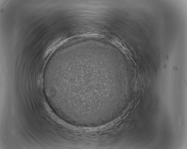 X0000085060002200703191337