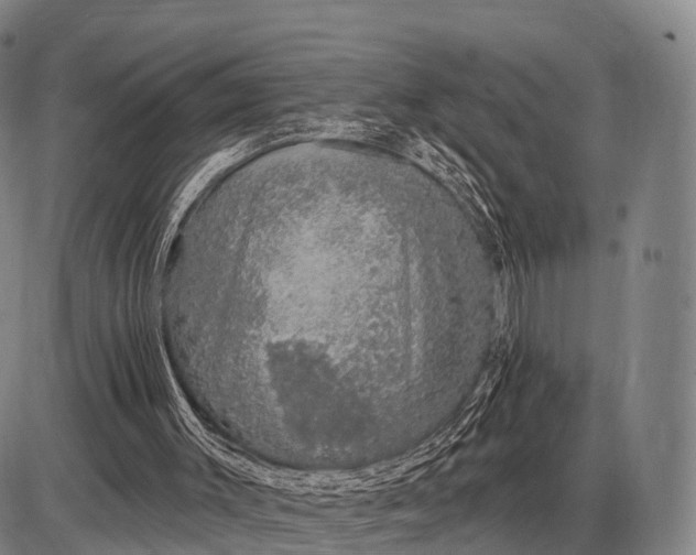 X0000085060003200703191337