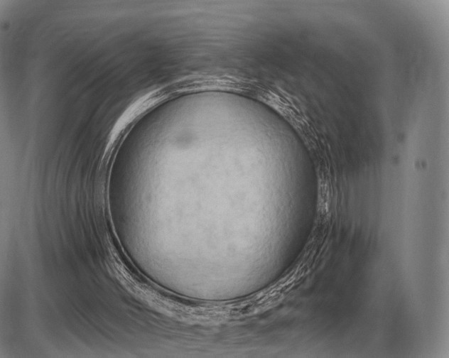 X0000085060004200703191337