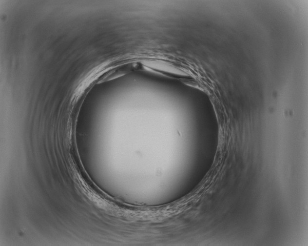 X0000085060005200703191337