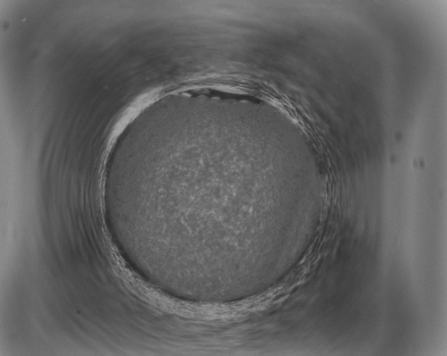 X0000085060006200703191337