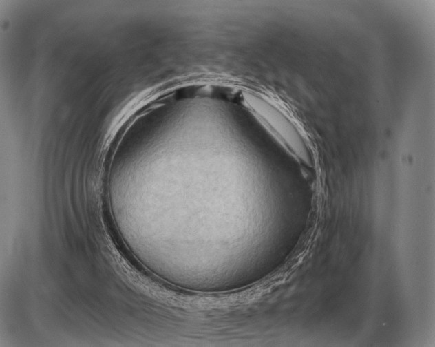 X0000085060007200703191337