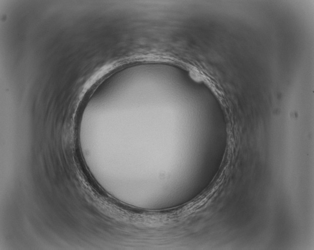 X0000085060008200703191337