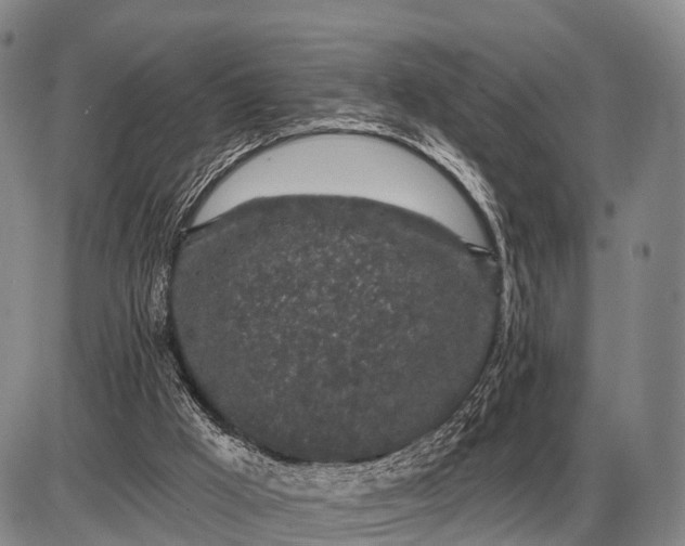 X0000085060009200703191337