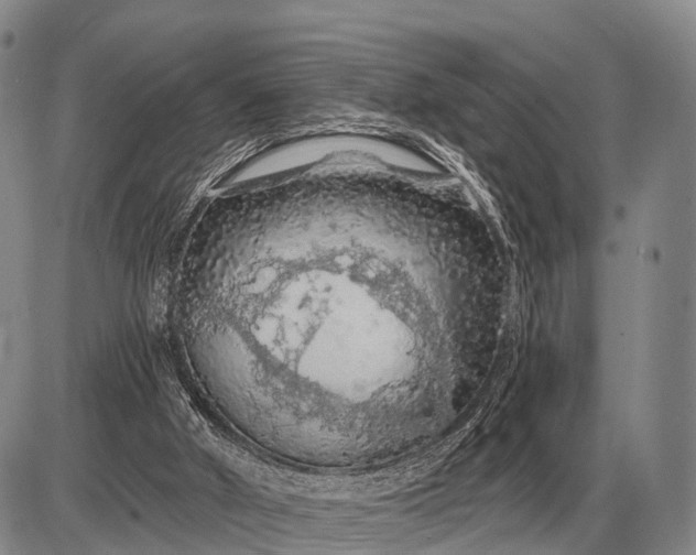 X0000085060010200703191337