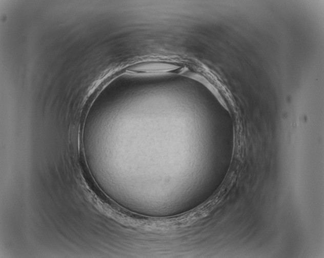 X0000085060011200703191337