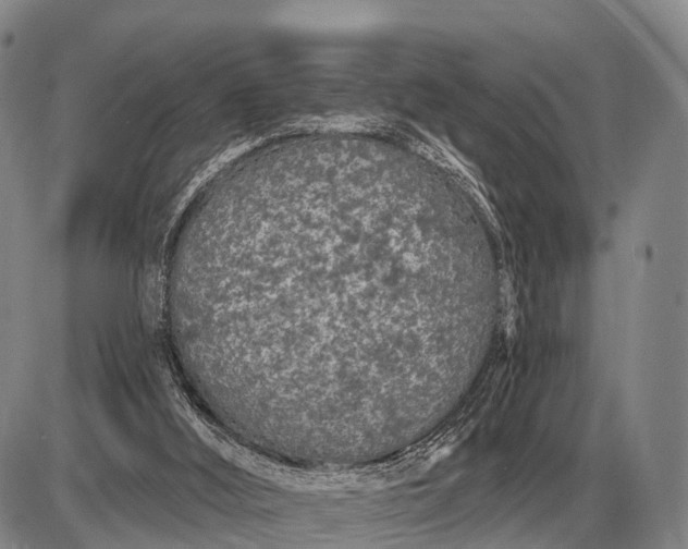 X0000085060012200703191337