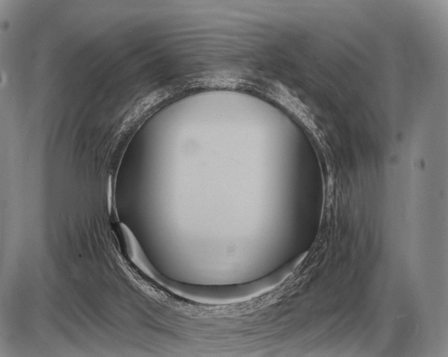 X0000085060013200703191337