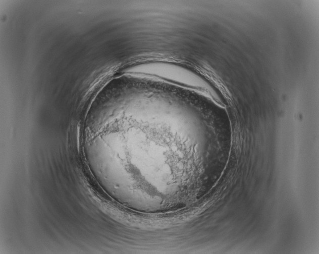 X0000085060014200703191337