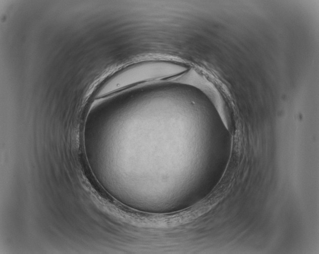 X0000085060015200703191337