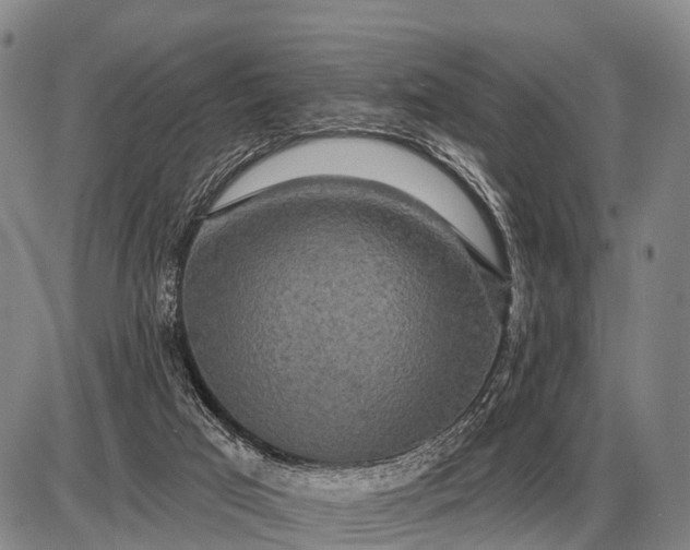 X0000085060017200703191337