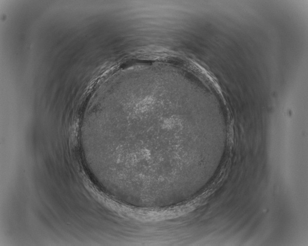 X0000085060018200703191337