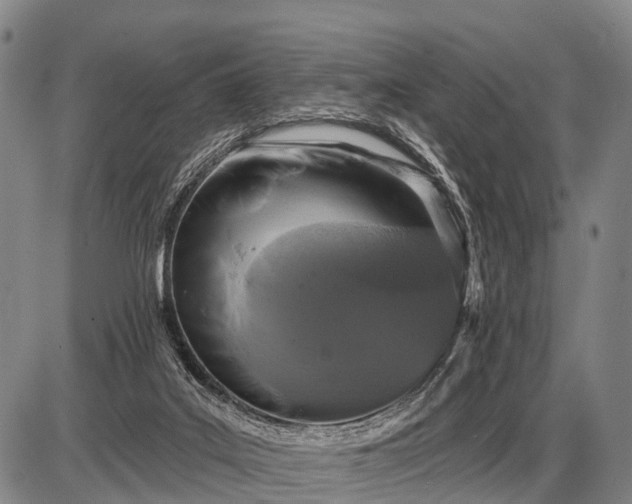 X0000085060019200703191337