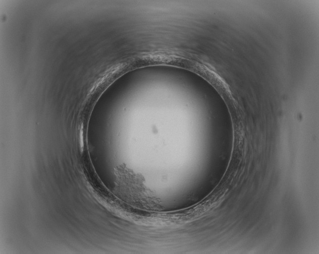 X0000085060020200703191337