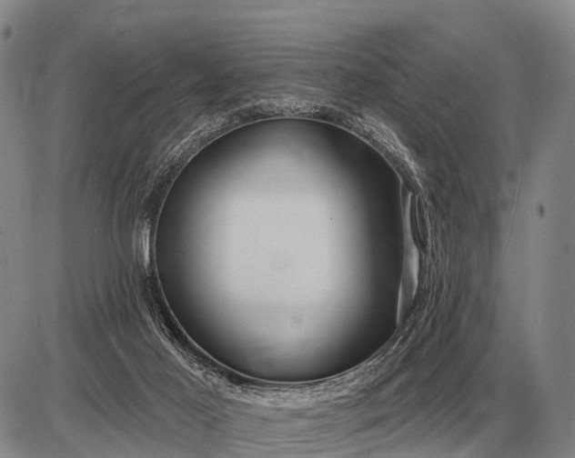 X0000085060021200703191337