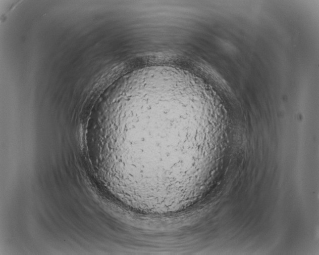 X0000085060022200703191337