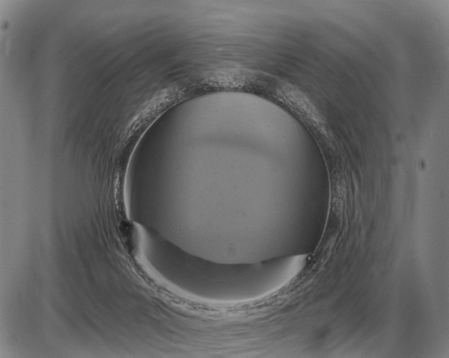 X0000085060023200703191337