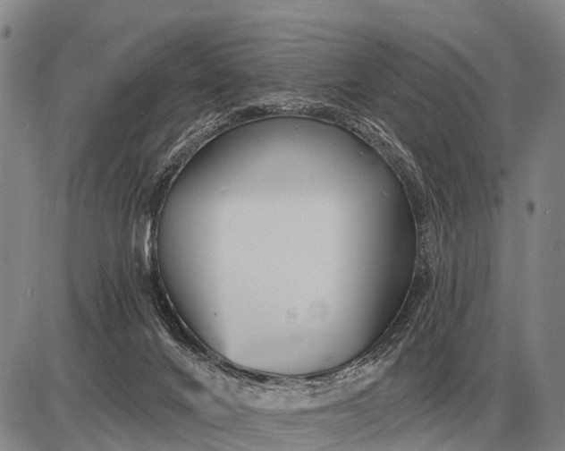 X0000085060024200703191337