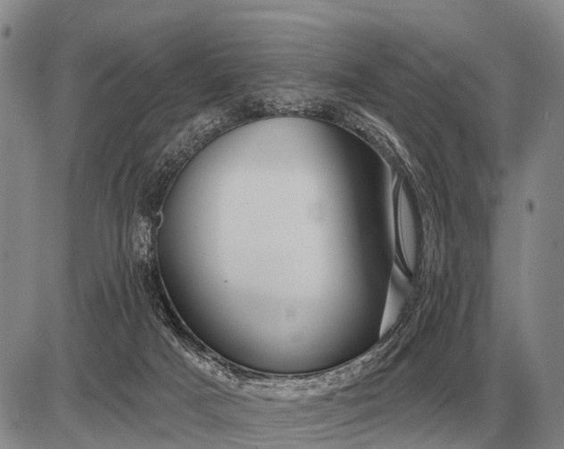 X0000085060025200703191337