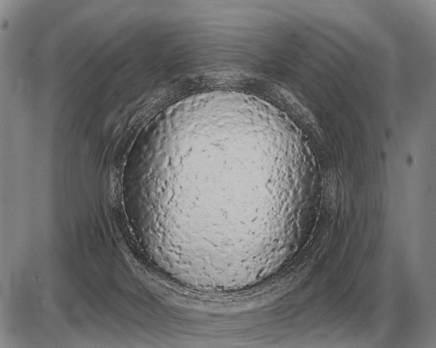 X0000085060026200703191337