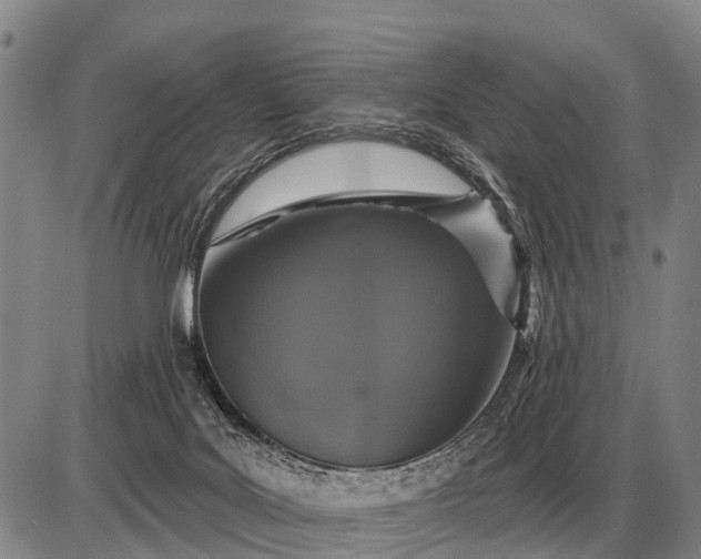 X0000085060027200703191337