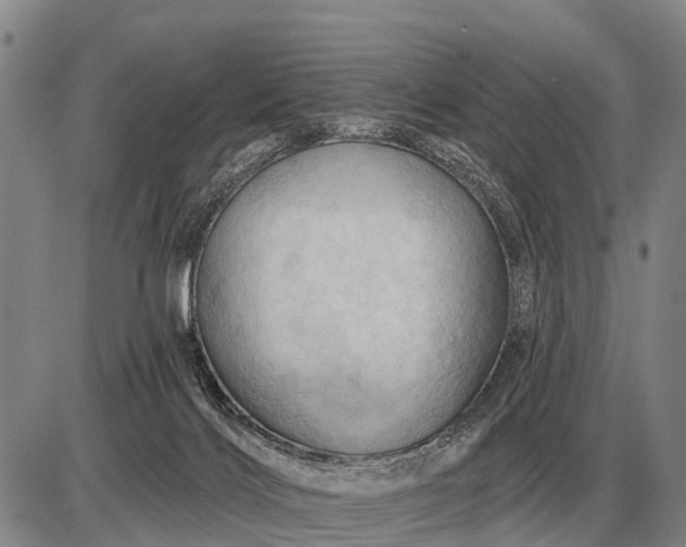 X0000085060028200703191337