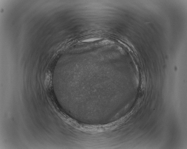 X0000085060029200703191337