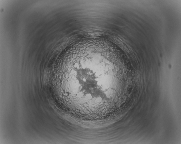 X0000085060030200703191337