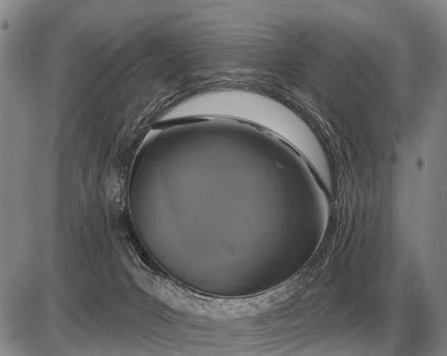 X0000085060031200703191336