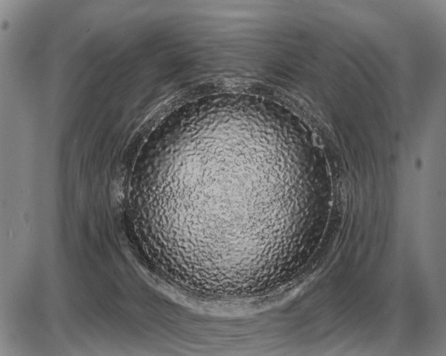 X0000085060032200703191336