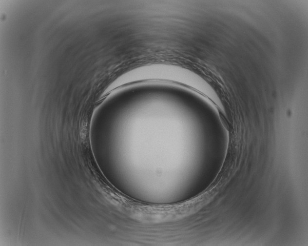 X0000085060033200703191336