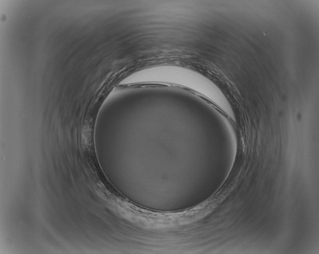 X0000085060035200703191336