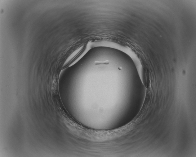 X0000085060037200703191336