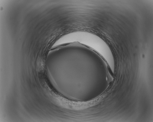 X0000085060039200703191336