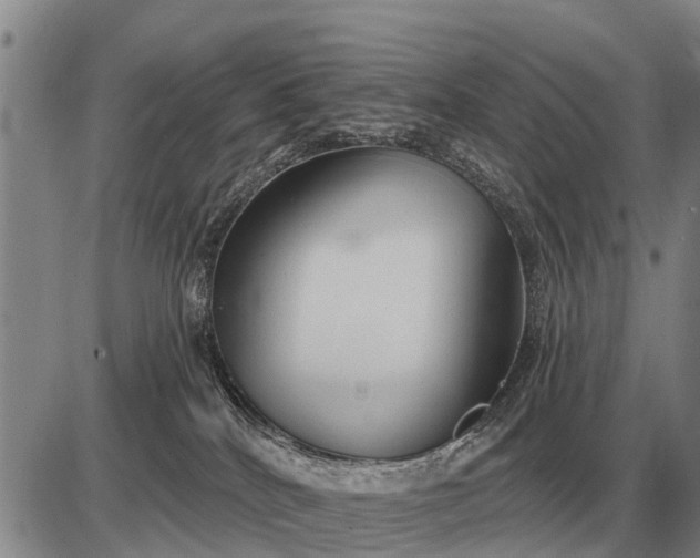 X0000085060040200703191336