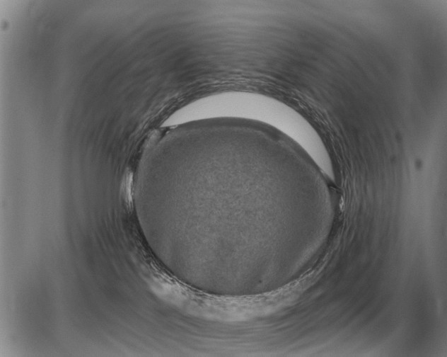 X0000085060041200703191336