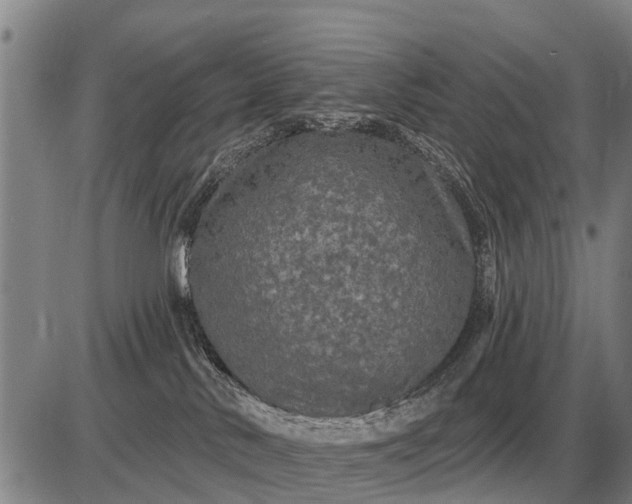 X0000085060042200703191336