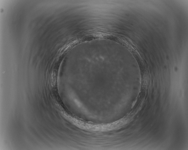 X0000085060043200703191336