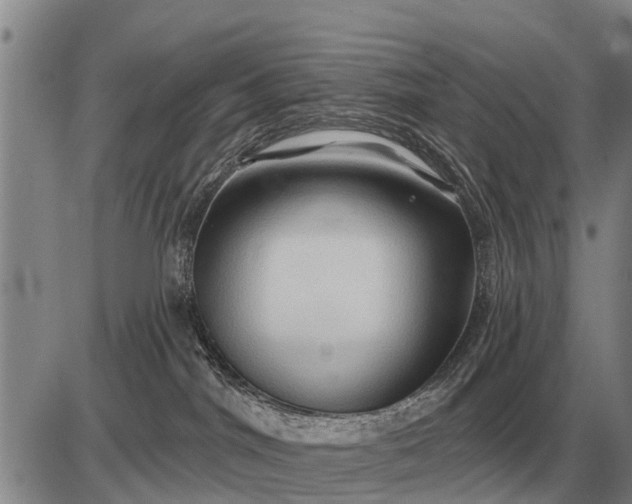 X0000085060044200703191336