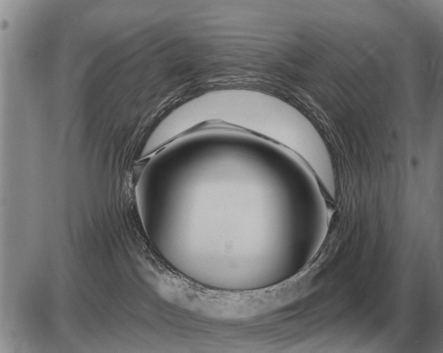 X0000085060045200703191336