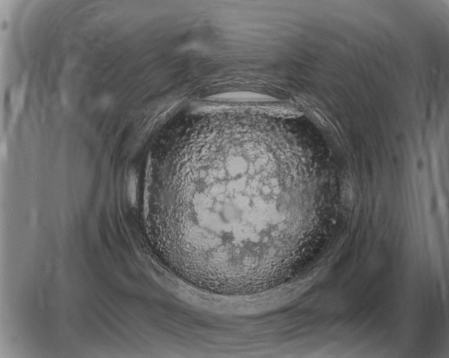 X0000085060046200703191336