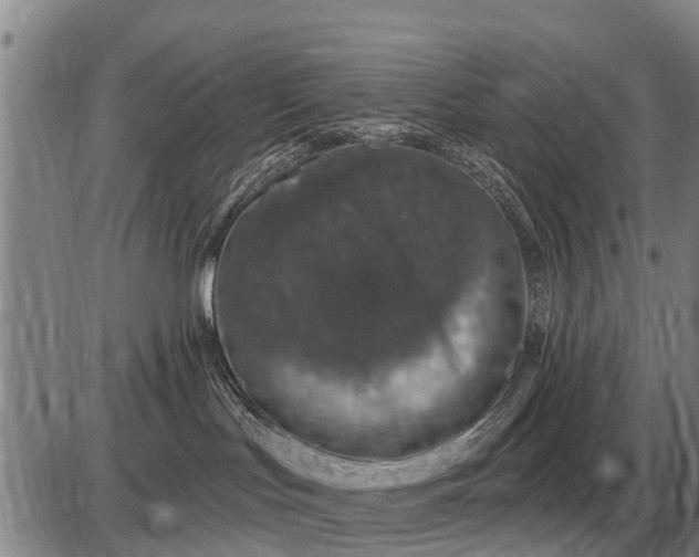 X0000085060047200703191336