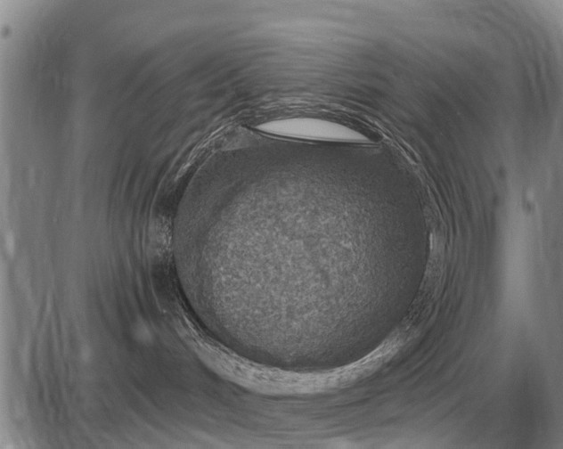 X0000085060048200703191336