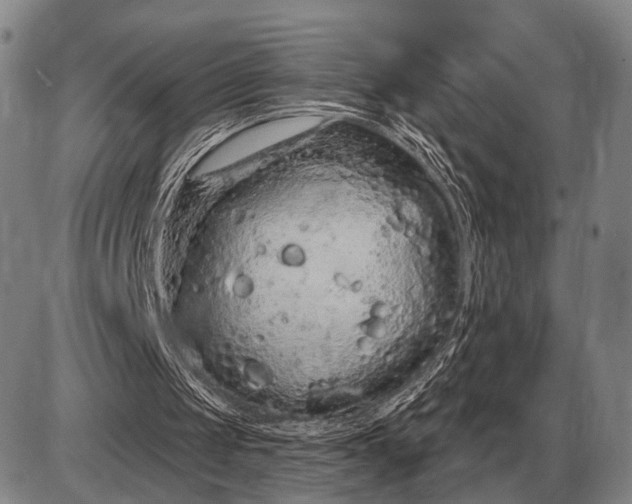 X0000085060049200703191335