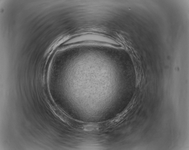 X0000085060050200703191335