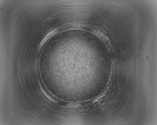 X0000085060051200703191335