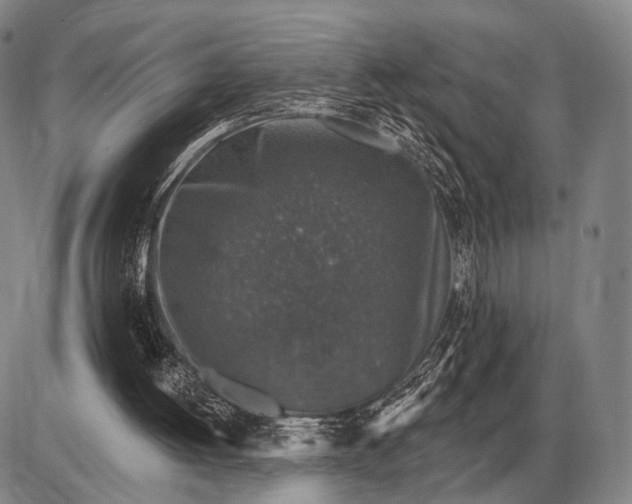 X0000085060052200703191335