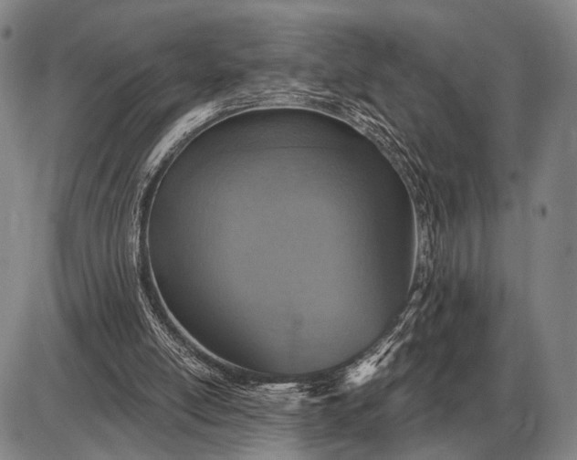 X0000085060054200703191335