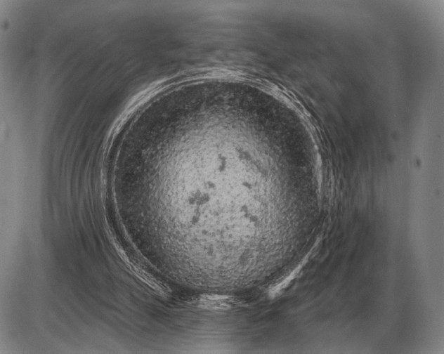 X0000085060055200703191335