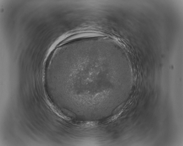 X0000085060056200703191335